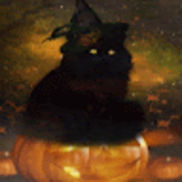 Meet your Posher, Sol - Picture 1 of 1